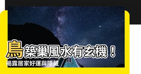 喜鵲築巢風水|鳥巢風水：居家好運密碼